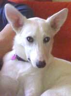 Foto di Malù