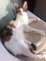 Foto di Lolly
