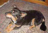 Foto di Schumi