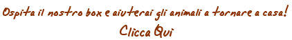 Ospita il nostro banner e aiuta gli animali a tornare a casa!