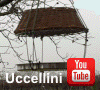 Apre la pagina al nostro video su YouTube