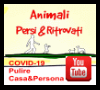 Apre la pagina al nostro video su YouTube