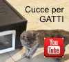 Apre la pagina al nostro video su YouTube