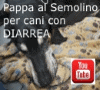 Apre la pagina al nostro video su YouTube
