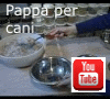 Apre la pagina al nostro video su YouTube