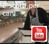 Apre la pagina al nostro video su YouTube