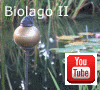 Apre la pagina al nostro video su YouTube