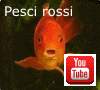 Apre la pagina al nostro video su YouTube