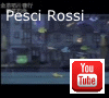 Apre la pagina al nostro video su YouTube